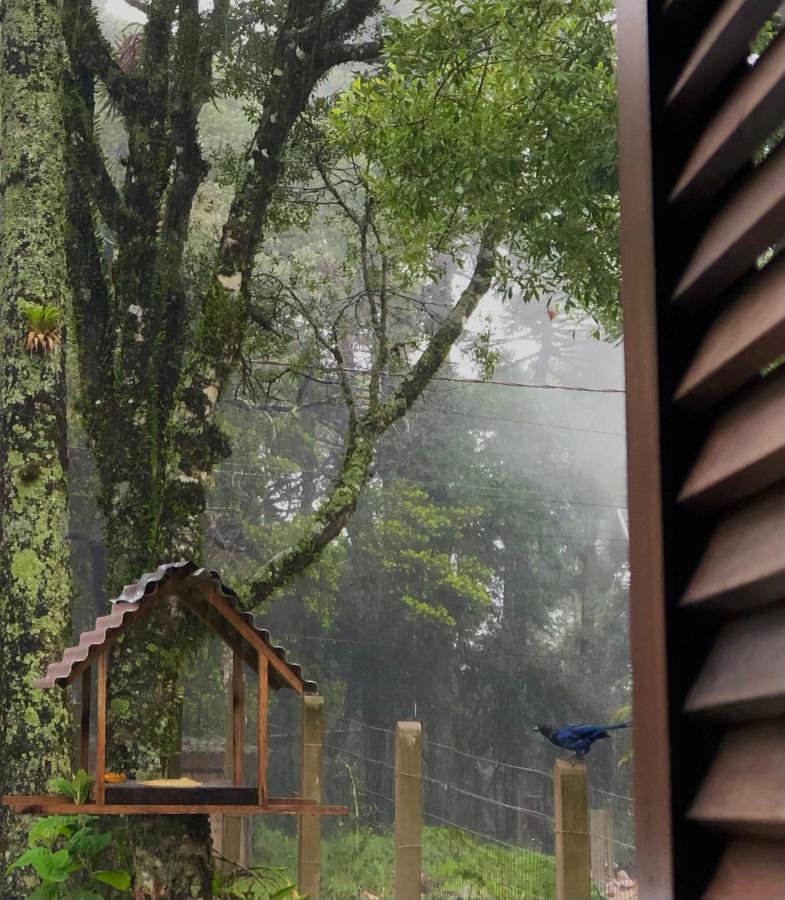 Recanto Das Gralhas São Francisco de Paula Exteriér fotografie